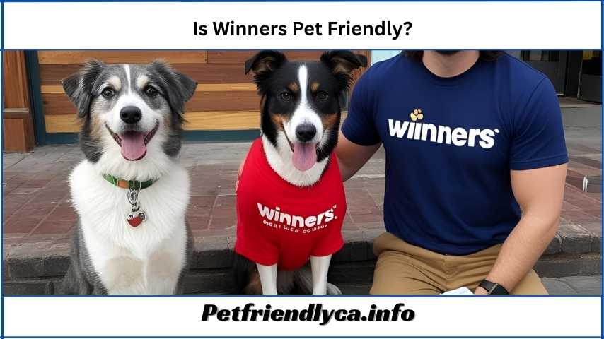 Is Winners Pet Friendly