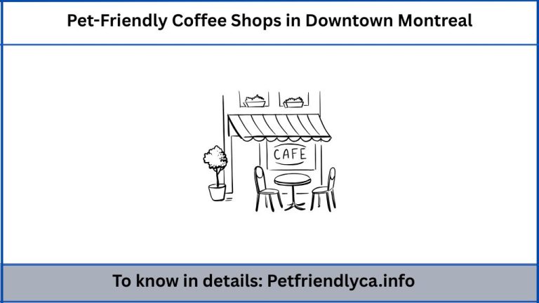 Pet-Friendly Coffee Shops in Downtown Montreal