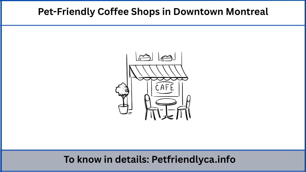 Pet-Friendly Coffee Shops in Downtown Montreal