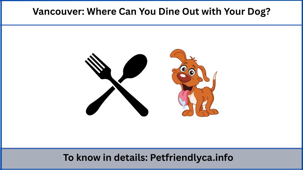 Vancouver Where Can You Dine Out with Your Dog