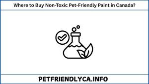 Where to Buy Non-Toxic Pet-Friendly Paint in Canada