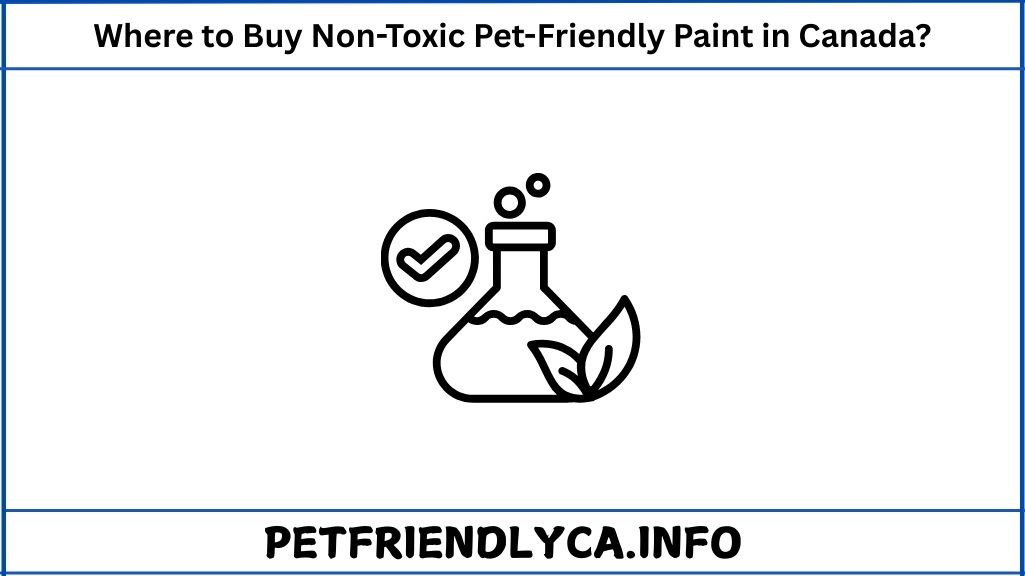 Where to Buy Non-Toxic Pet-Friendly Paint in Canada