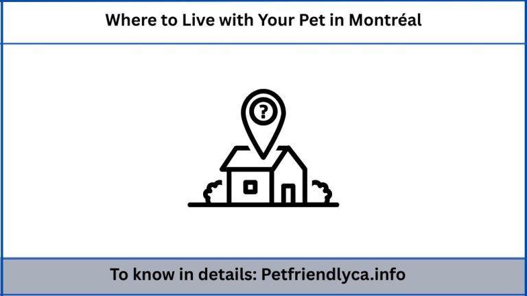 Where to Live with Your Pet in Montréal
