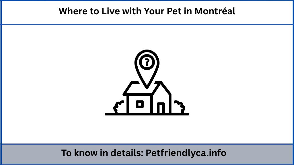 Where to Live with Your Pet in Montréal