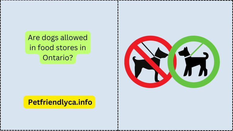 Are dogs allowed in food stores in Ontario