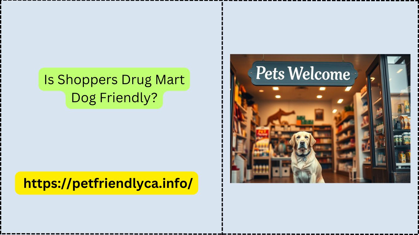 Is Shoppers Drug Mart Dog Friendly